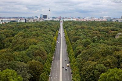 Tiergarten