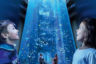 Aquadom &  SEALIFE Berlin